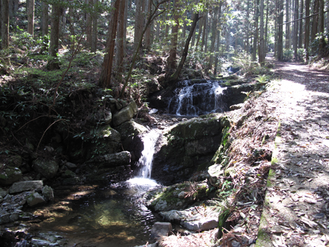 20140419hike (42)